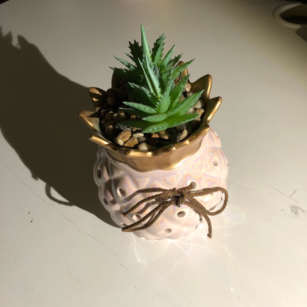Faux Plant with Rocks - Picture 2 of 3